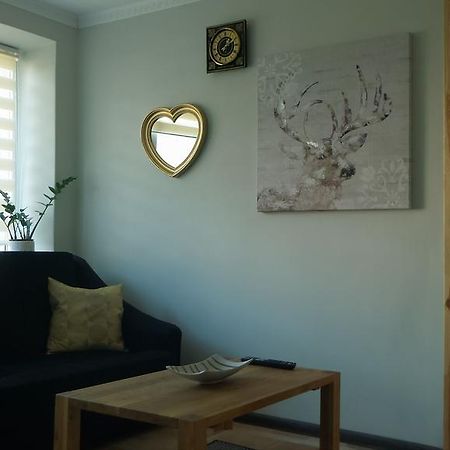 Siauliai Apartments - Ezero エクステリア 写真